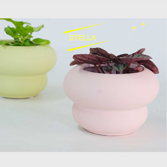 植木鉢 おしゃれ 室内 ステラ 鉢カバー かわいい もこもこ 陶器鉢 底穴なし 径12.5cm 高さ8.5cm パステルカラー