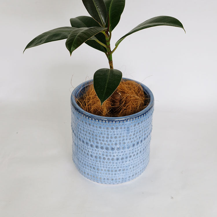 植木鉢 おしゃれ ヴィリア11 鉢カバー セラミックポット 陶器 径11cm 高さ11cm