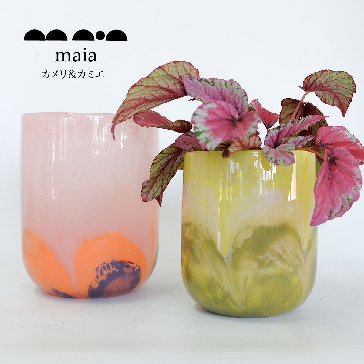 ガラス鉢カバーカメリ・カミエ マイア maia グラスプランター