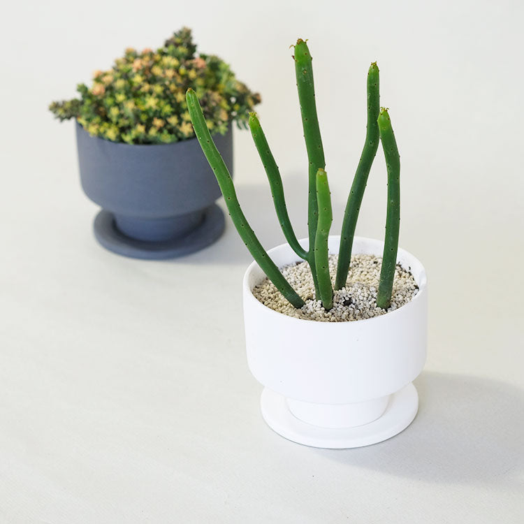 植木鉢 おしゃれ 陶器鉢 はなせ 受皿付 セラミック鉢 釉薬鉢 径10cm 高9cm 底穴あり