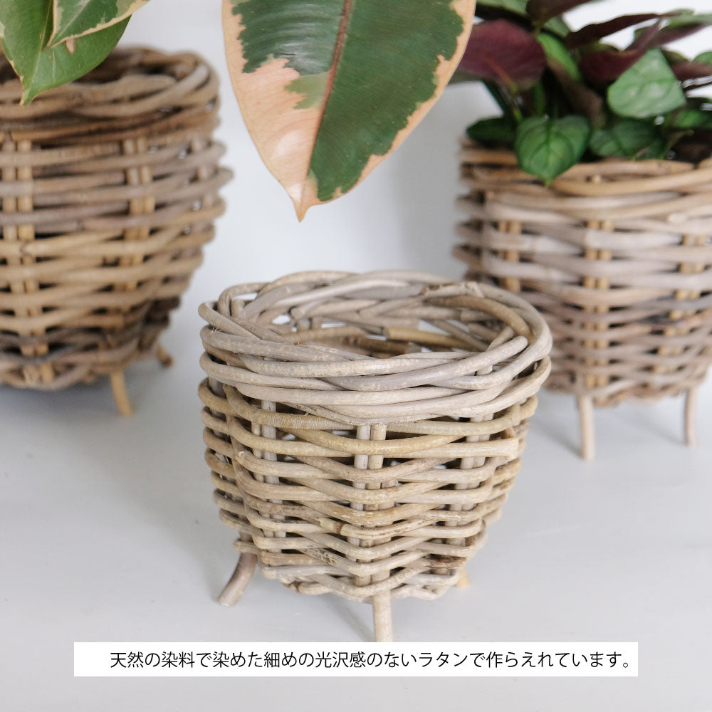 Gray Rattan 鉢カバー おしゃれ バスケット ラタン 植木鉢 カバーバスケット 懸崖鉢カバー3号 4号