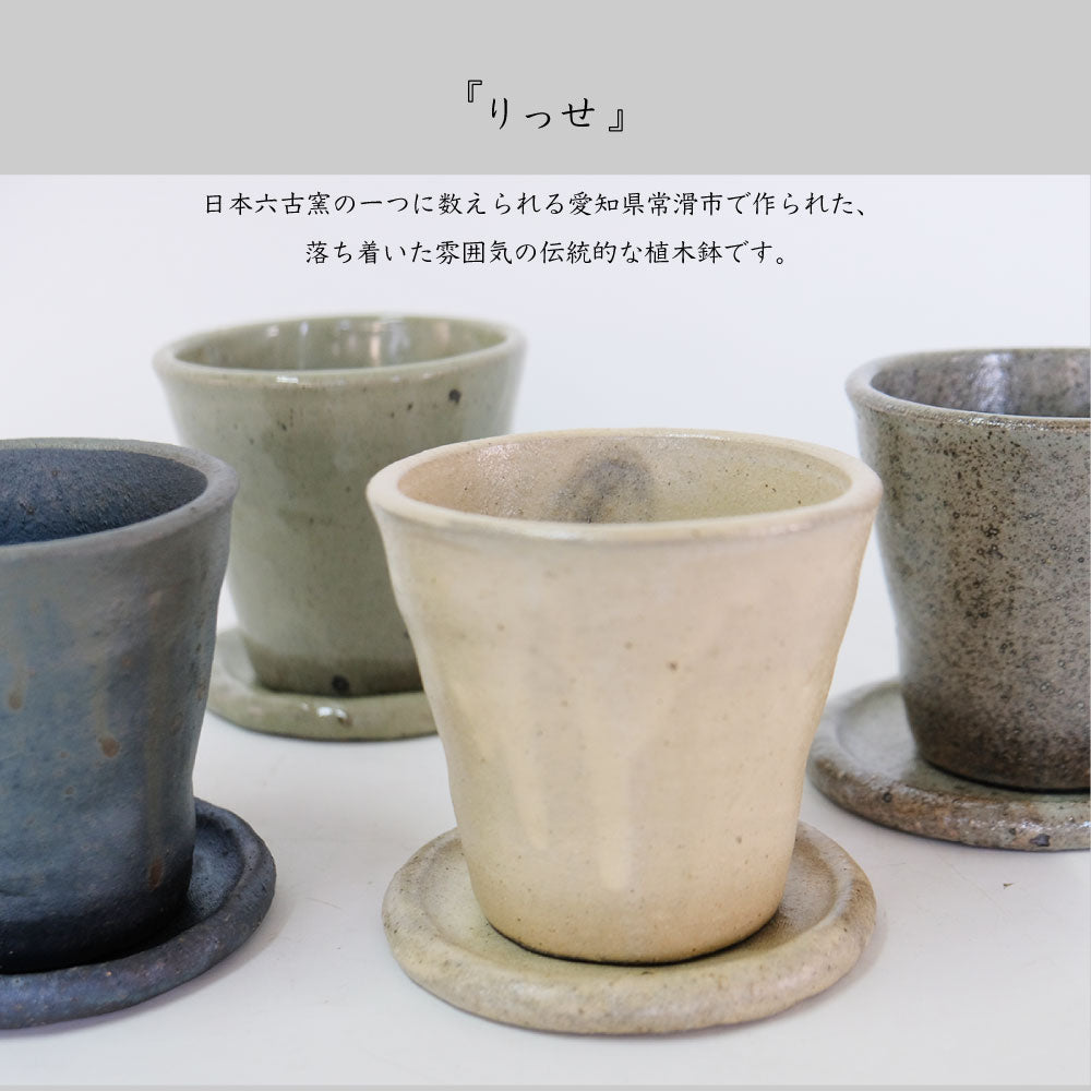 植木鉢 Lisse りっせ10 陶器鉢 常滑 和風 径10.5cm 高10.5cm 底穴あり tronco