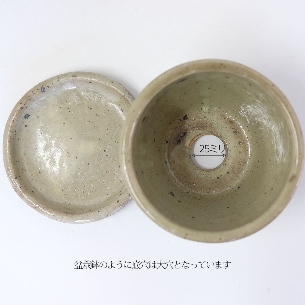 植木鉢 Lisse りっせ12 陶器鉢 常滑 和風 径12cm 高8.5cm 底穴あり