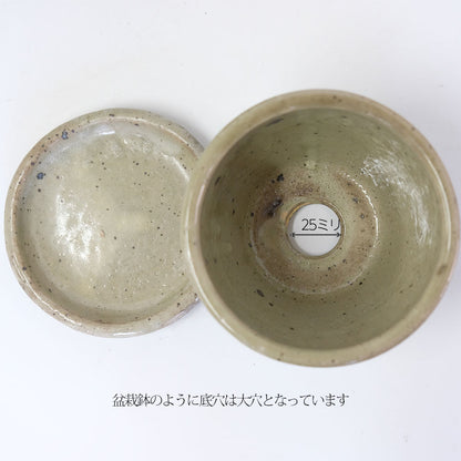 植木鉢 Lisse りっせ12 陶器鉢 常滑 和風 径12cm 高8.5cm 底穴あり