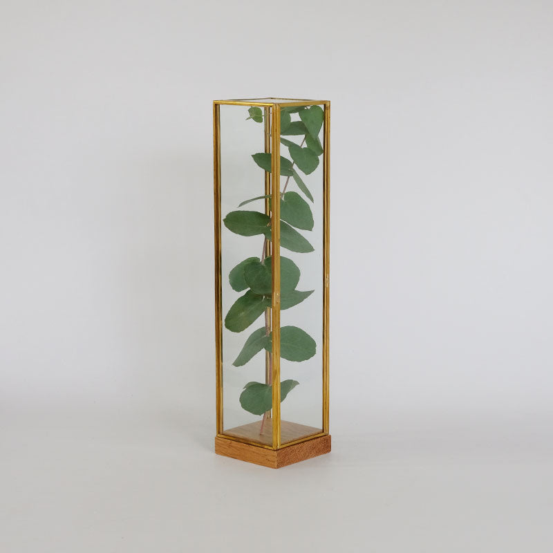 BRASS フレームディスプレイBOX 20 一輪挿し 花瓶 おしゃれ