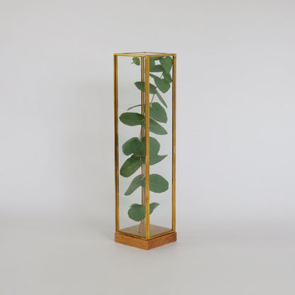 BRASS フレームディスプレイBOX 20 一輪挿し 花瓶 おしゃれ