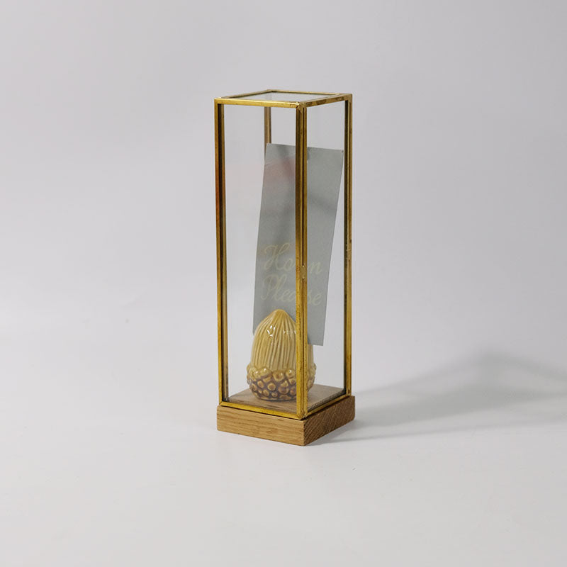 BRASS フレームディスプレイBOX 20 一輪挿し 花瓶 おしゃれ