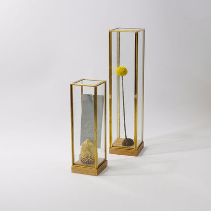 BRASS フレームディスプレイBOX 20 一輪挿し 花瓶 おしゃれ