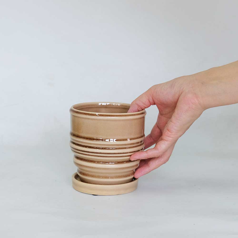 植木鉢 おしゃれ raffinato 11 サークル 受皿付 径11cm 高11cm 底穴あり