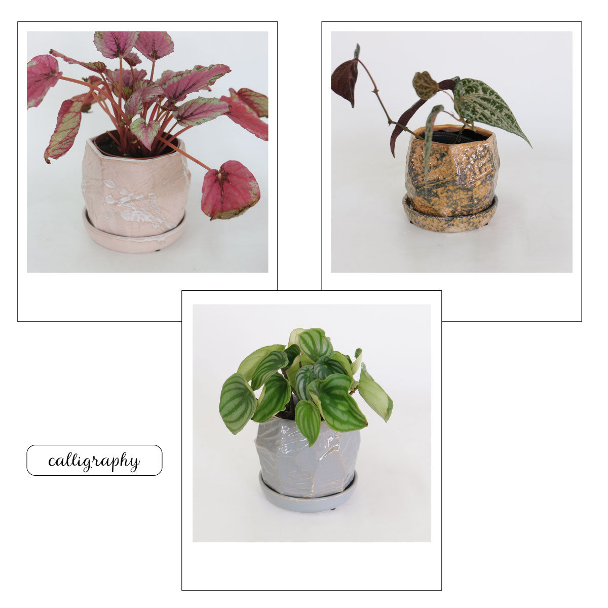 植木鉢 おしゃれ  カリグラフィ11 受皿付 ミニ鉢 ユニークフォルム多面形 径11cm 高11cm 底穴あり