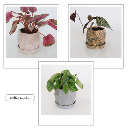 植木鉢 おしゃれ  カリグラフィ11 受皿付 ミニ鉢 ユニークフォルム多面形 径11cm 高11cm 底穴あり