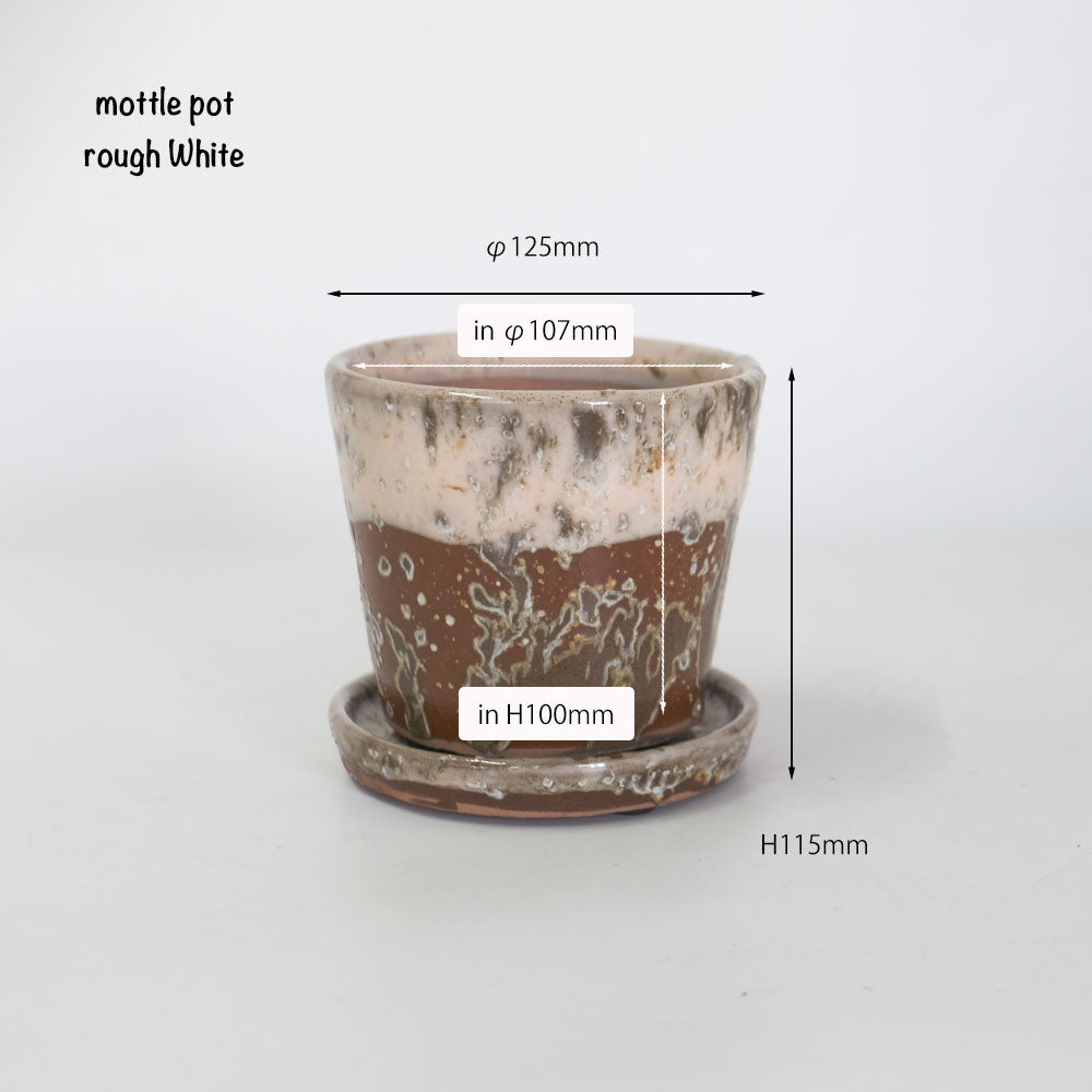 植木鉢 おしゃれ モトルポット ラフホワイト12 受皿付 陶器鉢 セラミック鉢 径12.5cm 高11cm 底穴あり