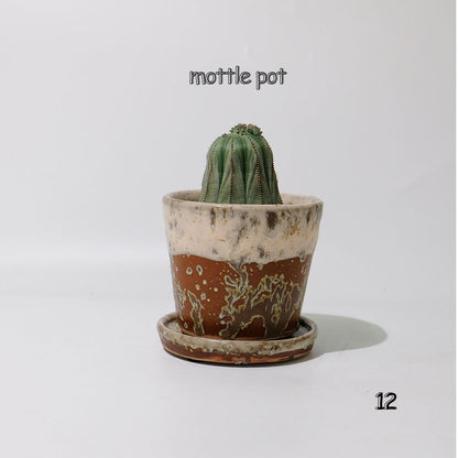 植木鉢 おしゃれ モトルポット ラフホワイト12 受皿付 陶器鉢 セラミック鉢 径12.5cm 高11cm 底穴あり
