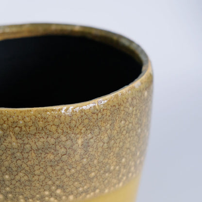 植木鉢 おしゃれ リッシュ16 セラミック鉢 陶器 受皿付 径16cm 高15cm 底穴あり