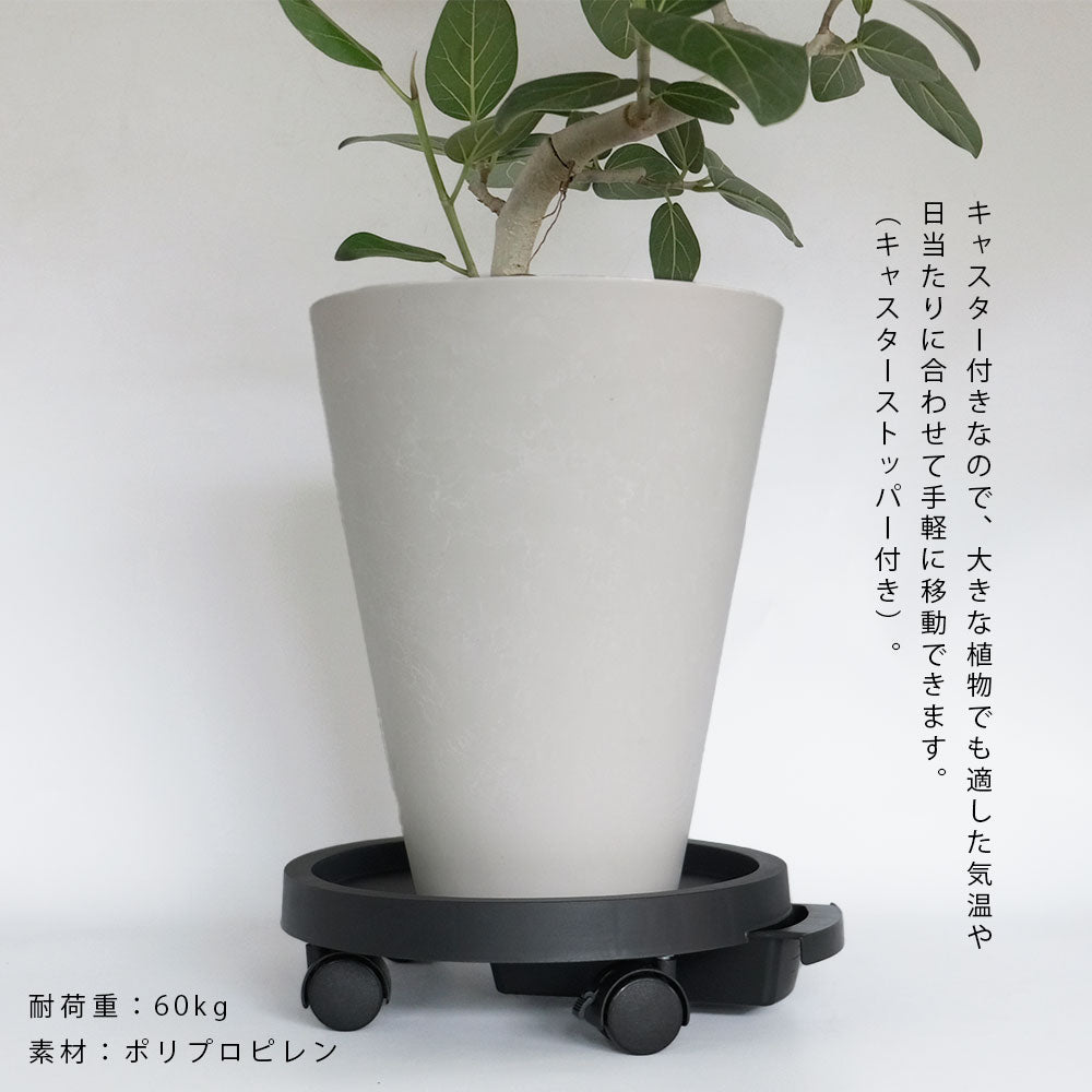 amabro PLANT TRAY(3color) 鉢移動台 鉢スタンド アマブロ 排水できる鉢受台
