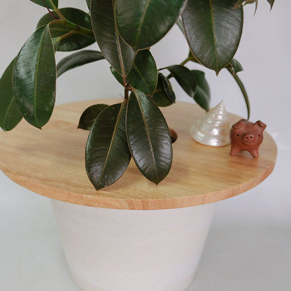 amabro  ウッドサークルトレイ35 WOOD CIRCLE TRAY 室内用  便利グッズ 木製 プランターカバー いたずら防止 観葉植物     ー いたずら防止 アマブロ