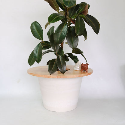 amabro  ウッドサークルトレイ35 WOOD CIRCLE TRAY 室内用  便利グッズ 木製 プランターカバー いたずら防止 観葉植物     ー いたずら防止 アマブロ