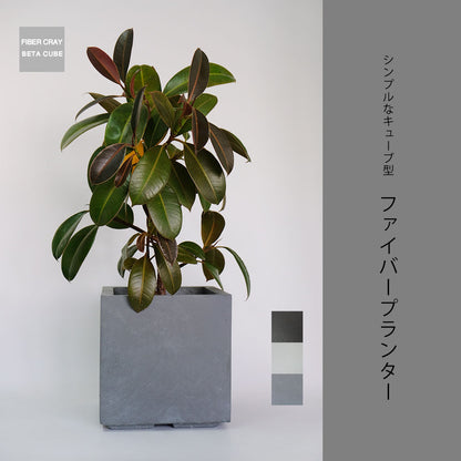 植木鉢 おしゃれ ベータ キューブプランター23 プランター ファイバークレイ 幅22cｍ奥22cm 高さ22cm KONTON