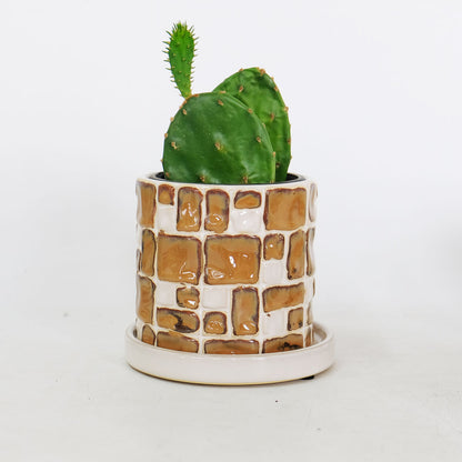 植木鉢 おしゃれ Rooted 陶器鉢 タイル モザイク 径11cmから13.5cm