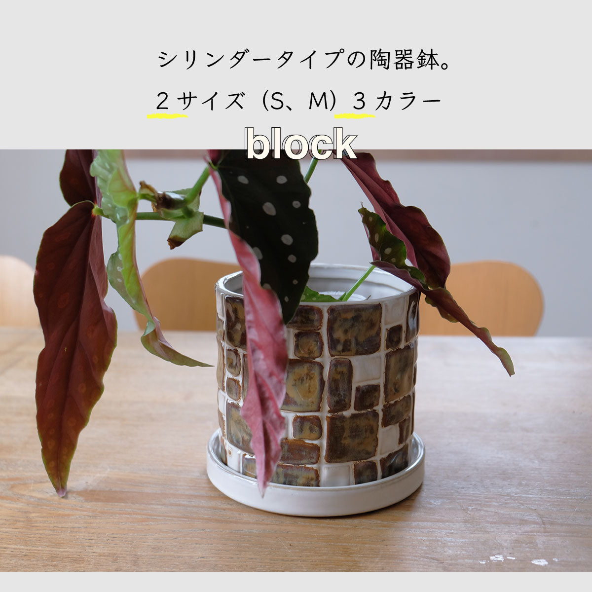 植木鉢 おしゃれ Rooted 陶器鉢 タイル モザイク 径11cmから13.5cm