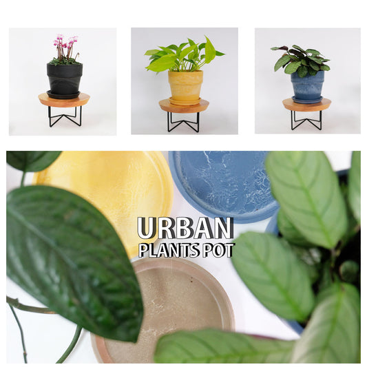 植木鉢 おしゃれ 軽い プラ鉢 ソリッド12受皿付 プラスチック カラフル プランター 鉢径13,5cm 高さ12cm 底穴あり イエロー ブラック ブラウン ホワイト