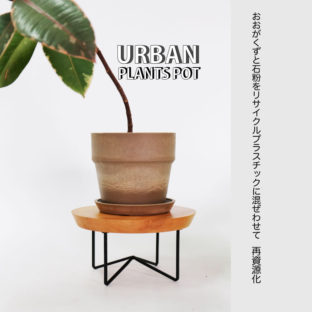 植木鉢 おしゃれ 軽い プラ鉢 ソリッド12受皿付 プラスチック カラフル プランター 鉢径13,5cm 高さ12cm 底穴あり イエロー ブラック ブラウン ホワイト