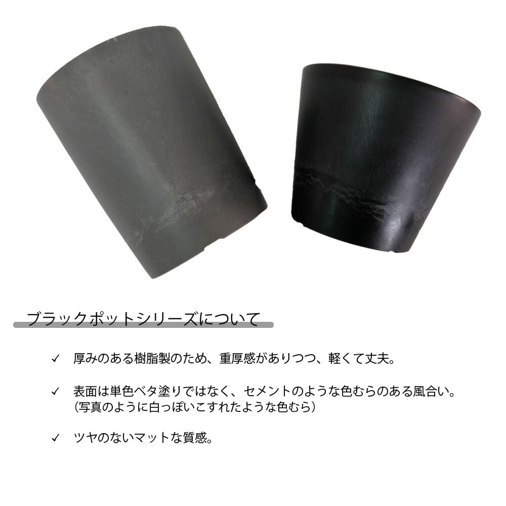 プラポット トール20 サボテン 頑丈 おしゃれ 塊根植物 多肉 黒プラスチック鉢 コーデックス 径20cm 高さ25cm 深鉢 ホワイト グレー ブラック