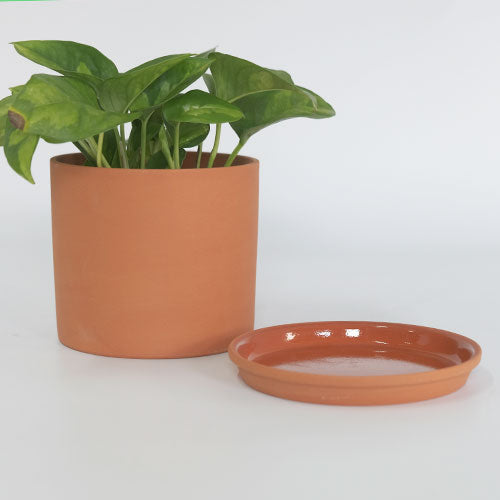 植木鉢 おしゃれ テラコッタ Chaleur Cylinder Plain12 受皿付
