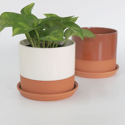 植木鉢 おしゃれ テラコッタ Chaleur Cylinder B＆W12 受皿付