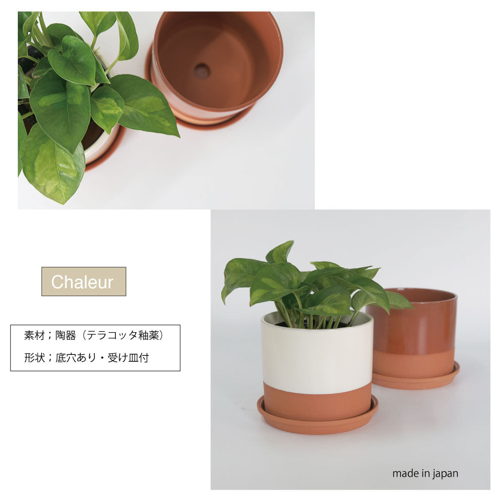 植木鉢 おしゃれ テラコッタ Chaleur Cylinder B＆W12 受皿付