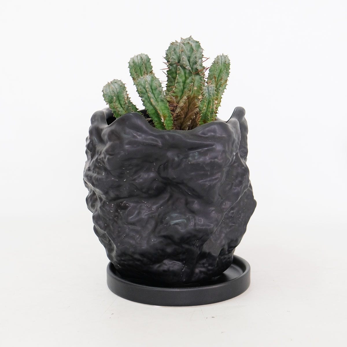 植木鉢 おしゃれ Crag 受皿付 岩石 底穴あり 陶器鉢
