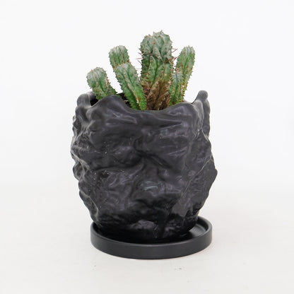 植木鉢 おしゃれ Crag 受皿付 岩石 底穴あり 陶器鉢