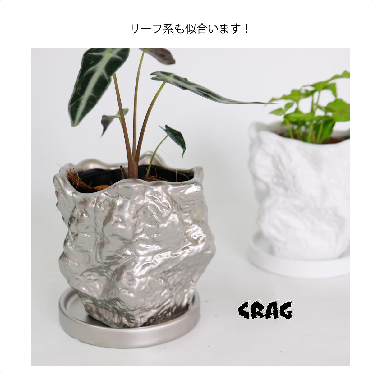 植木鉢 おしゃれ Crag 受皿付 岩石 底穴あり 陶器鉢