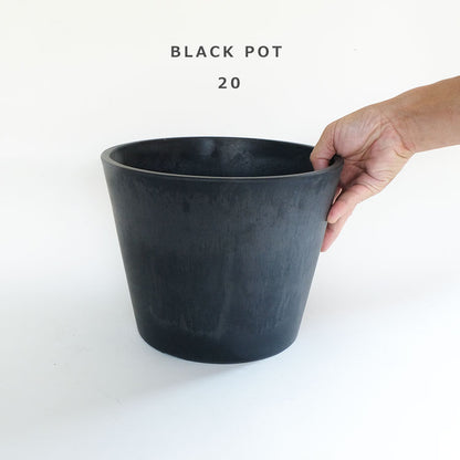 植木鉢 ブラックポット 20 頑丈 肉厚プラ 塊茎植物 アガベ black plastic pot 径20cm 高さ18cm スタンダード コーデックス