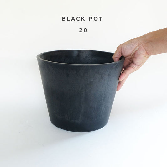植木鉢 ブラックポット 20 頑丈 肉厚プラ 塊茎植物 アガベ black plastic pot 径20cm 高さ18cm スタンダード コーデックス