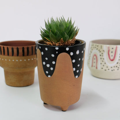 おしゃれ  鉢カバー グラフィカルシリーズ 植木鉢 セラミック 鉢 インテリア 底穴なし 径14cm 高さ11cm 他