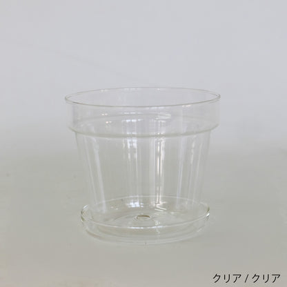 植木鉢 ブローグラスポット 透明 おしゃれ ガラス鉢 11.5cm 径高 10.5cm サボテン 多肉 透明感 クリアーガラス 薄ガラス 3.5号鉢