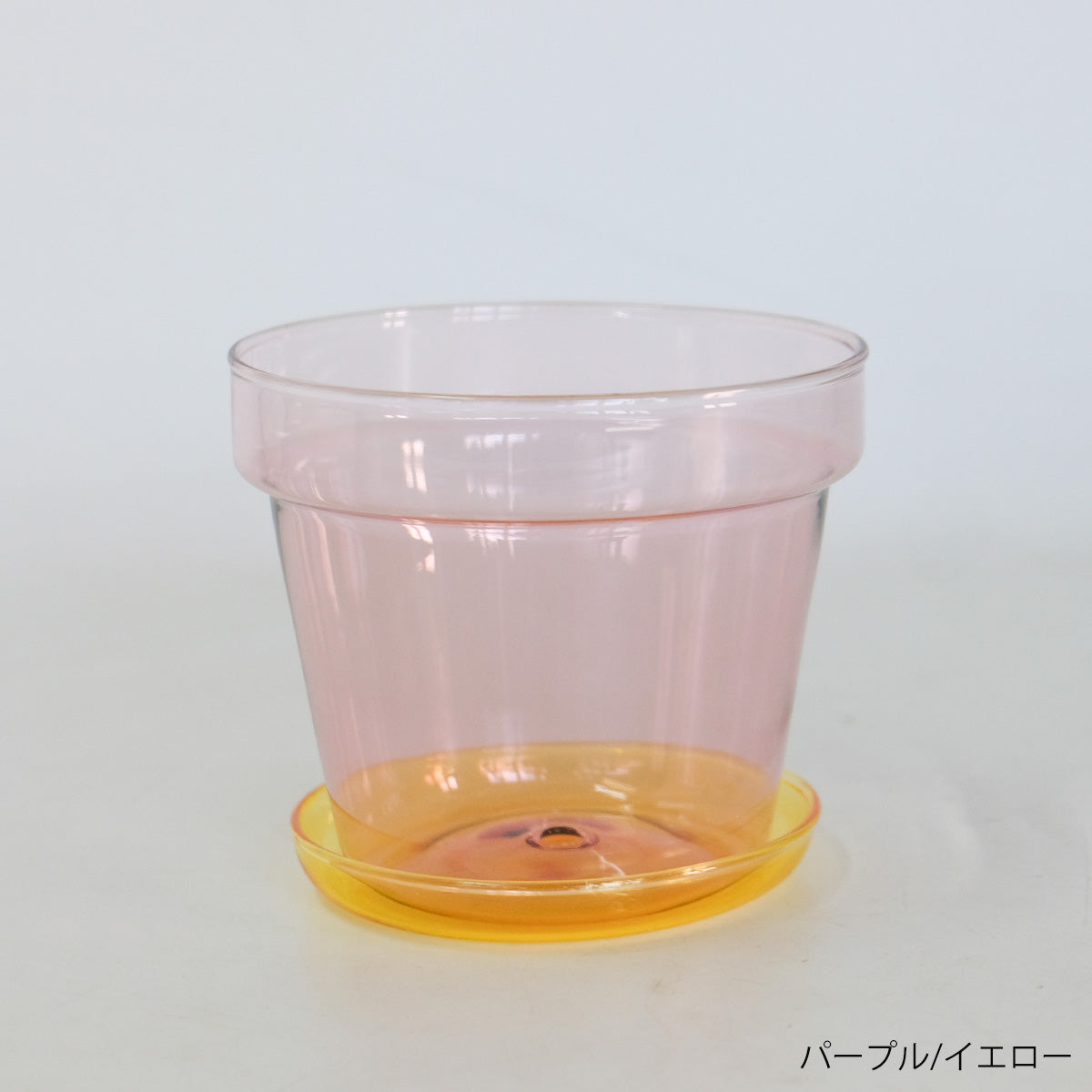 植木鉢 ブローグラスポット 透明 おしゃれ ガラス鉢 11.5cm 径高 10.5cm サボテン 多肉 透明感 クリアーガラス 薄ガラス 3.5号鉢