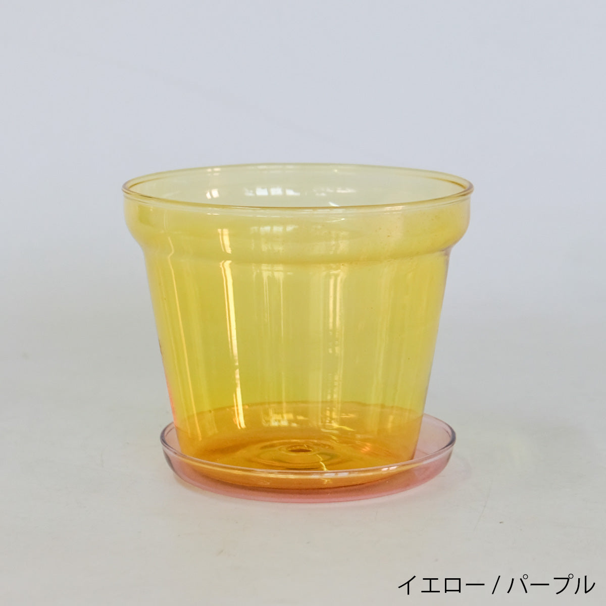 植木鉢 ブローグラスポット 透明 おしゃれ ガラス鉢 11.5cm 径高 10.5cm サボテン 多肉 透明感 クリアーガラス 薄ガラス 3.5号鉢