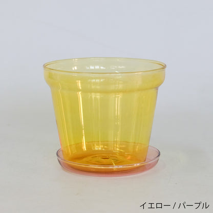 植木鉢 ブローグラスポット 透明 おしゃれ ガラス鉢 11.5cm 径高 10.5cm サボテン 多肉 透明感 クリアーガラス 薄ガラス 3.5号鉢