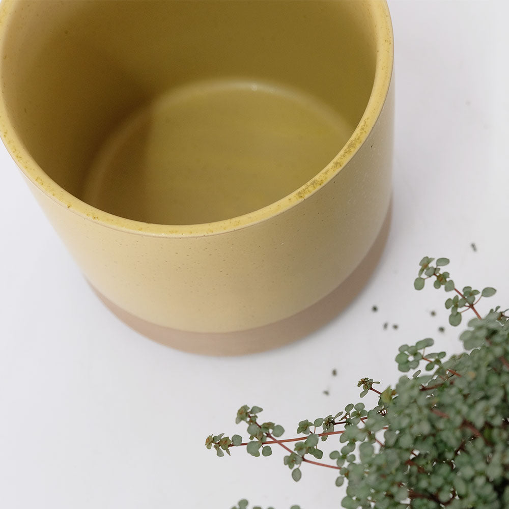 植木鉢 おしゃれ 陶器鉢 ハンネ16 鉢カバー 底穴なし 径18cm 高さ16cm
