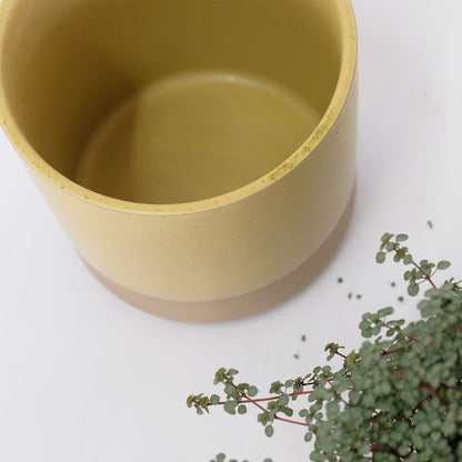 植木鉢 おしゃれ 陶器鉢 ハンネ16 鉢カバー 底穴なし 径18cm 高さ16cm