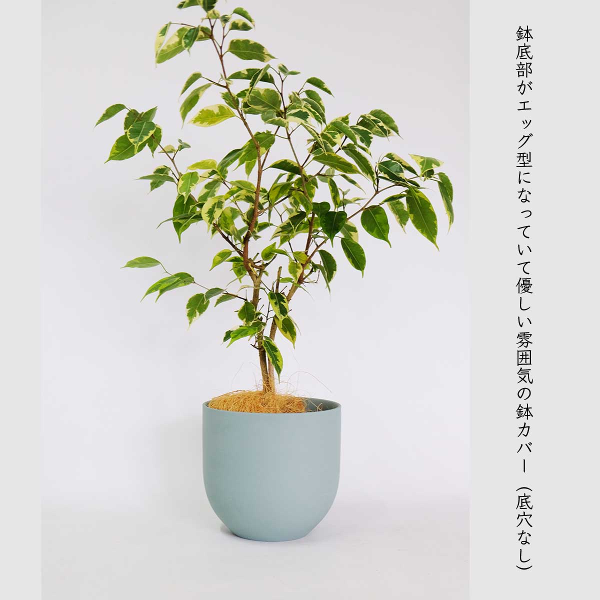 植木鉢 鉢カバー 5号 径18cm 高17cm くすみカラー | FARM