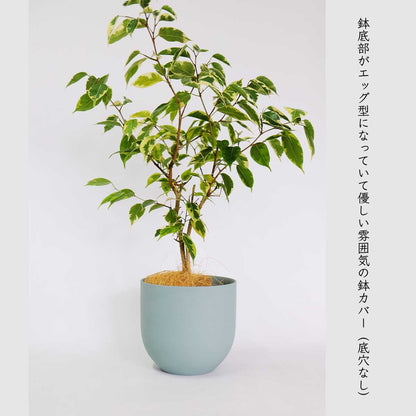植木鉢 陶器 おしゃれ ヤルミラ17 鉢カバー 5号  径18cm 高17cm 底穴なし FARM 観葉植物 シンプル くすみカラー ダークグレーグリーン ホワイト 北欧