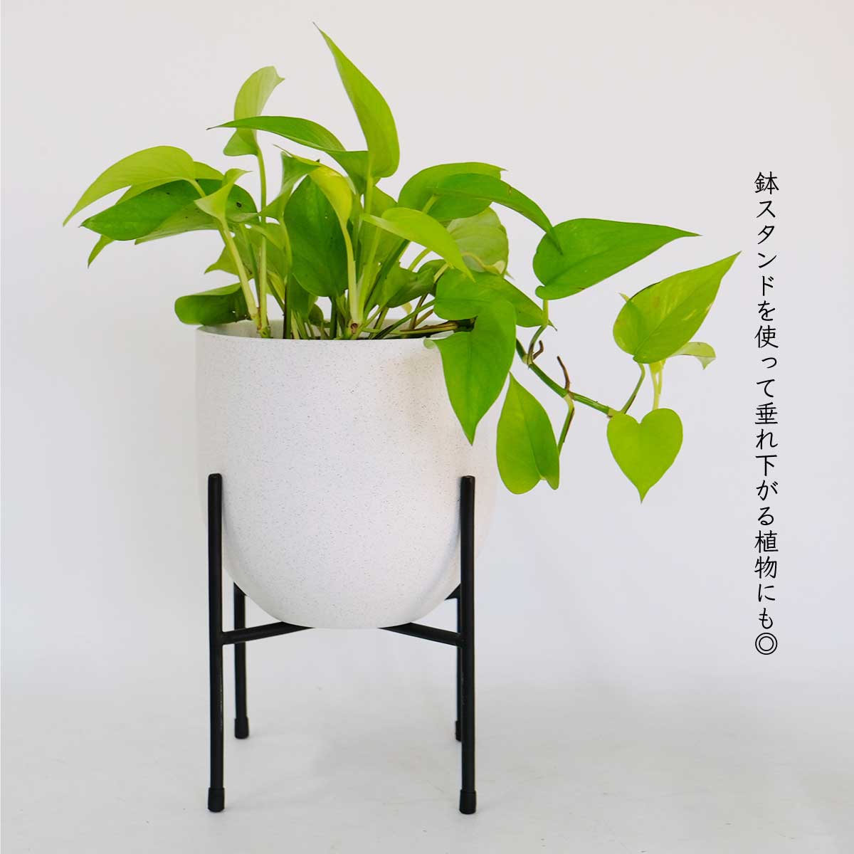 植木鉢 陶器 おしゃれ ヤルミラ17 鉢カバー 5号  径18cm 高17cm 底穴なし FARM 観葉植物 シンプル くすみカラー ダークグレーグリーン ホワイト 北欧