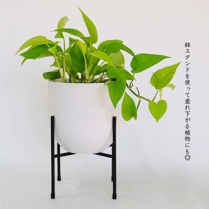 植木鉢 陶器 おしゃれ ヤルミラ17 鉢カバー 5号  径18cm 高17cm 底穴なし FARM 観葉植物 シンプル くすみカラー ダークグレーグリーン ホワイト 北欧