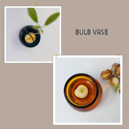 BULB VASE フラワーベース 花瓶 一輪挿し バルブベース 球根水栽培 かわいい