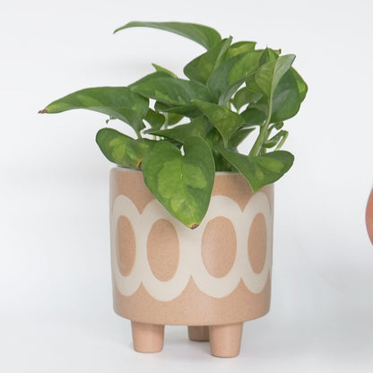植木鉢 おしゃれ 陶器鉢 ラダ12 ３つ脚