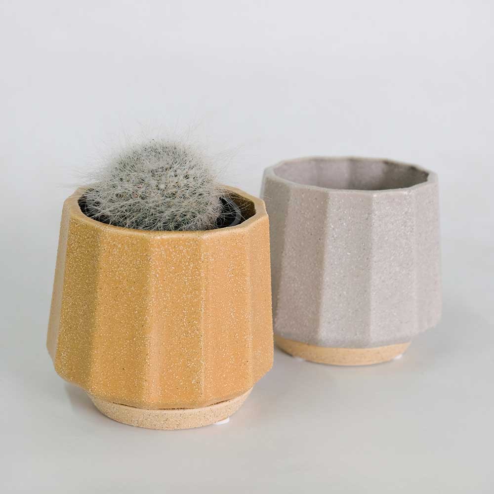 植木鉢 おしゃれ 陶器鉢 ミルシカ11 受皿付 セラミック 北欧 径12.5cm 高10cm 底穴あり