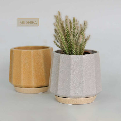植木鉢 おしゃれ 陶器鉢 ミルシカ11 受皿付 セラミック 北欧 径12.5cm 高10cm 底穴あり
